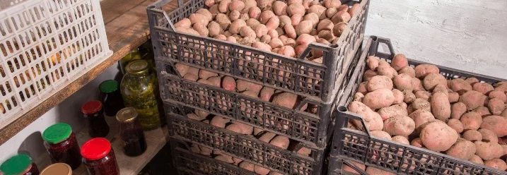 Kartoffeln und Eingemachtes im Keller